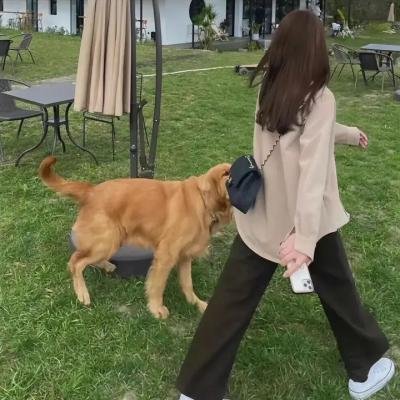 寻找薇薇安·迈尔