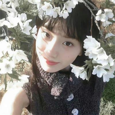 苏生骷髅头